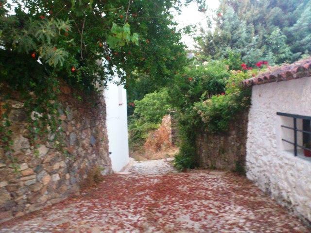 Casa Con Encanto En Alájar 외부 사진